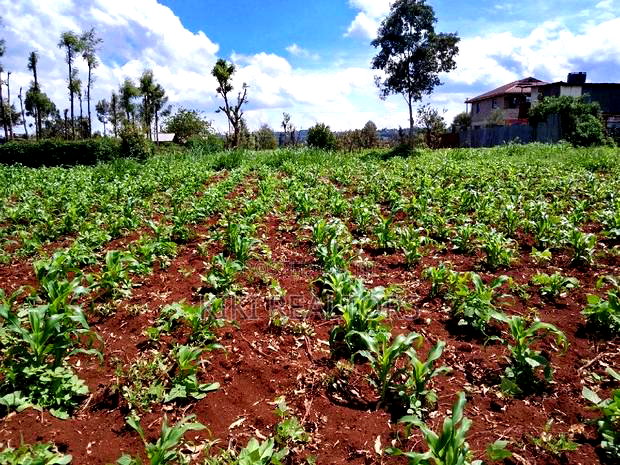 Plots for Sale at Sigona Kerwa