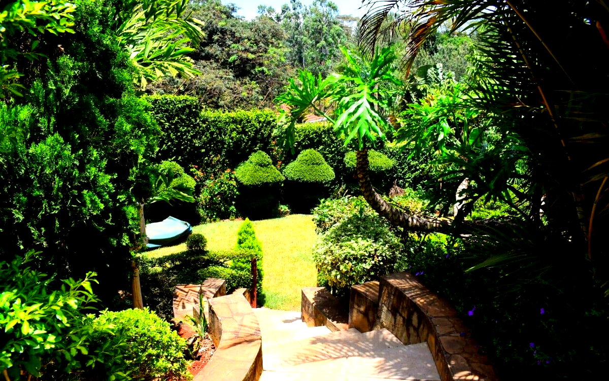 Half Acre Garden Home with Pool