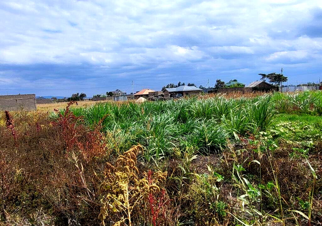 KSh 750K Kantafu Plot