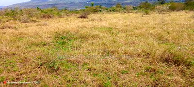 50*100 Plot in Heshima Scode Area 700m From Tarmac - Image 1