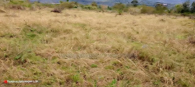 50*100 Plot in Heshima Scode Area 700m From Tarmac