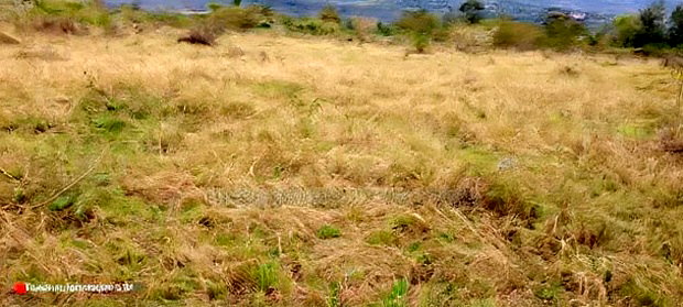 50*100 Plot in Heshima Scode Area 700m From Tarmac