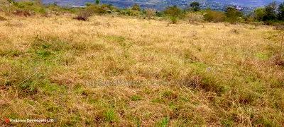 50*100 Plot in Heshima Scode Area 700m From Tarmac - Image 2