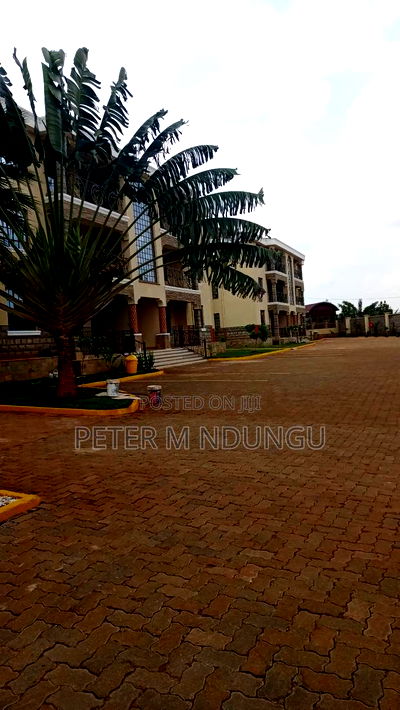 2bdrm Apartment in Starehe, Kiambu / Kiambu for rent - Image 13