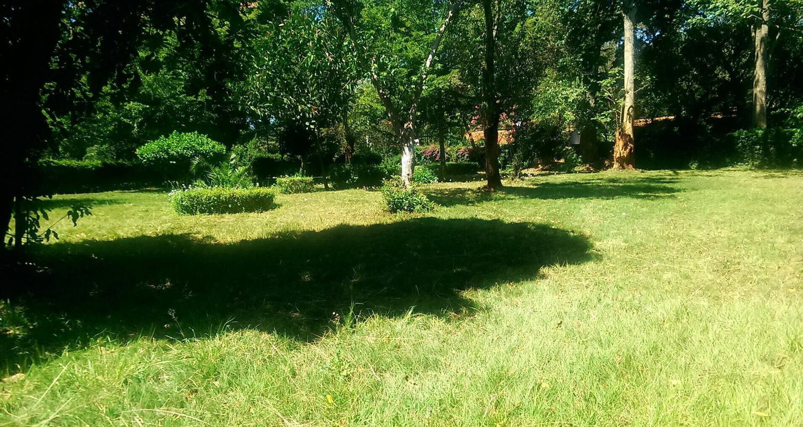 1/2 Acre Ridgeways Plot at KSh 60M