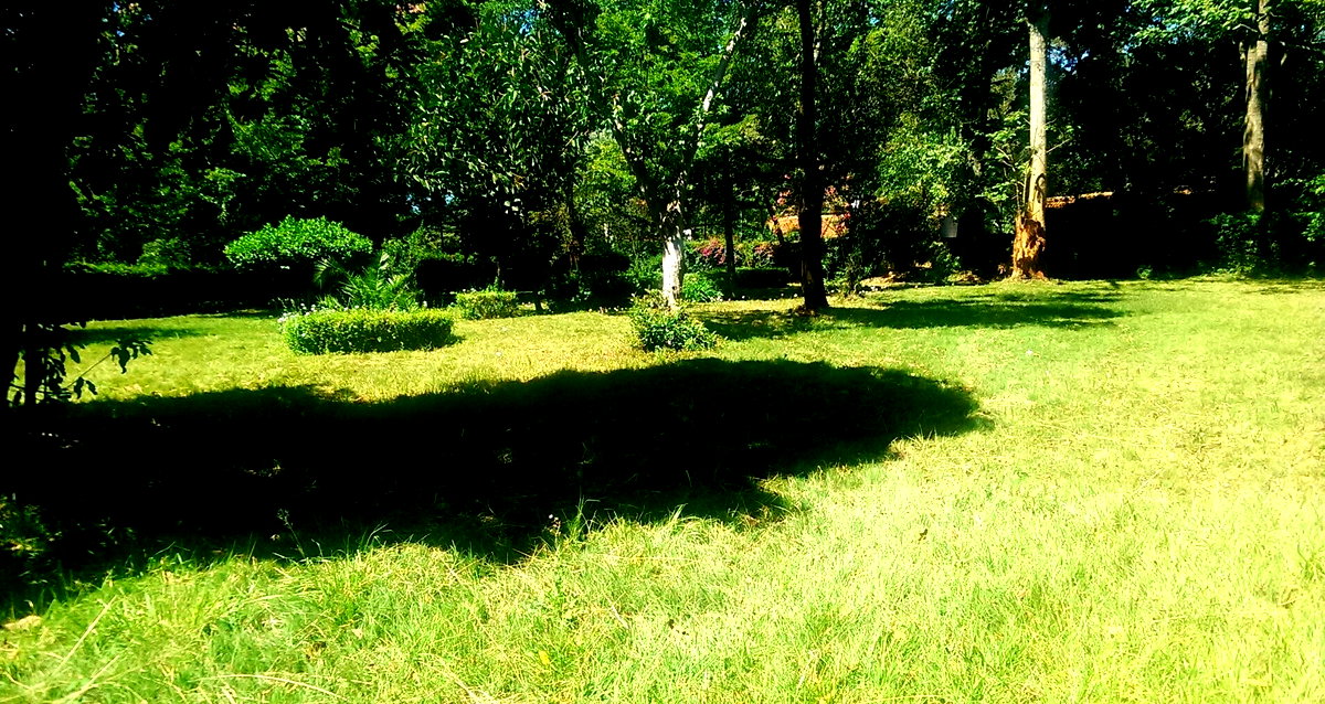 1/2 Acre Ridgeways Plot at KSh 60M