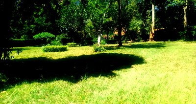1/2 Acre Ridgeways Plot at KSh 60M