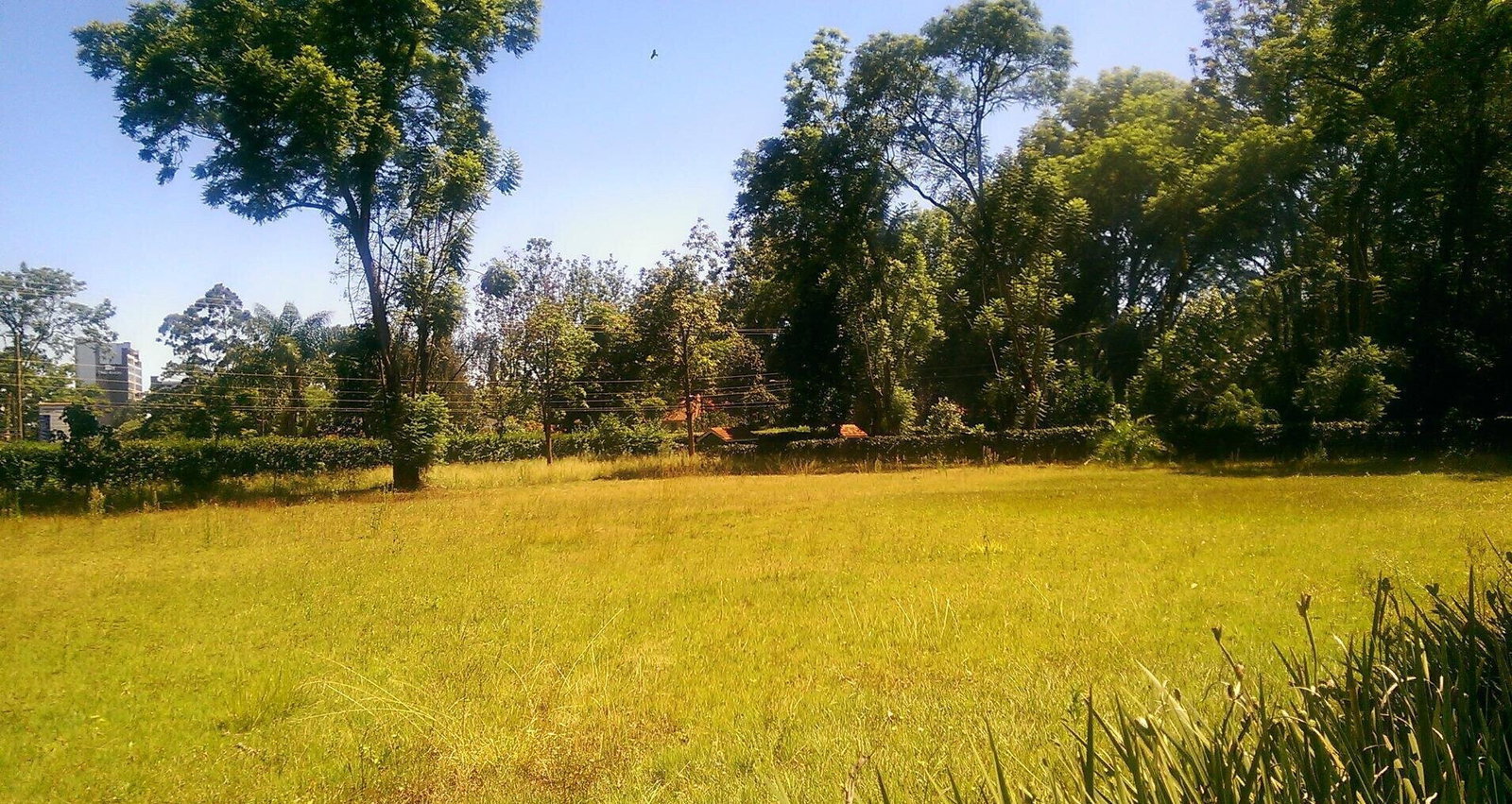 1/2 Acre Ridgeways Plot at KSh 60M