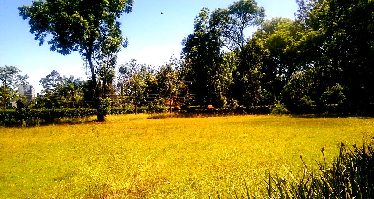 1/2 Acre Ridgeways Plot at KSh 60M
