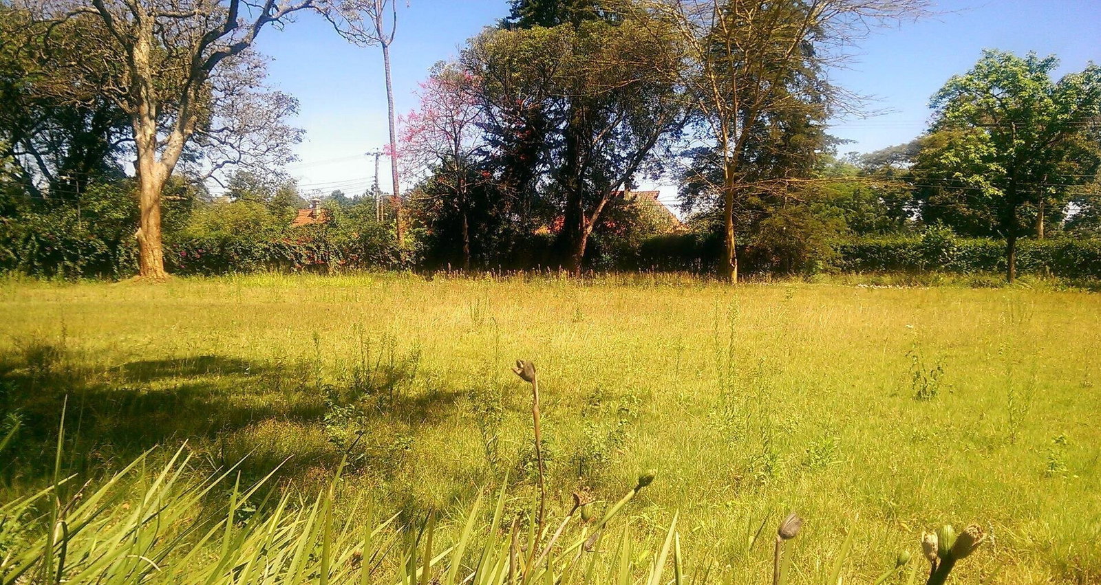 1/2 Acre Ridgeways Plot at KSh 60M