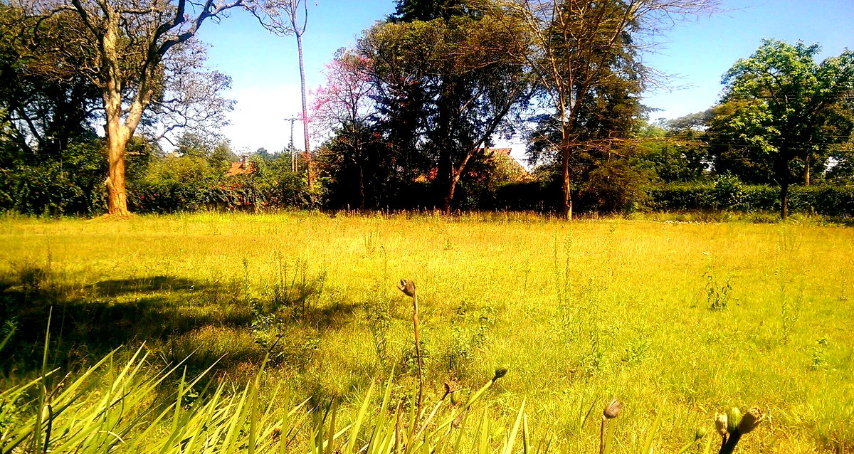 1/2 Acre Ridgeways Plot at KSh 60M