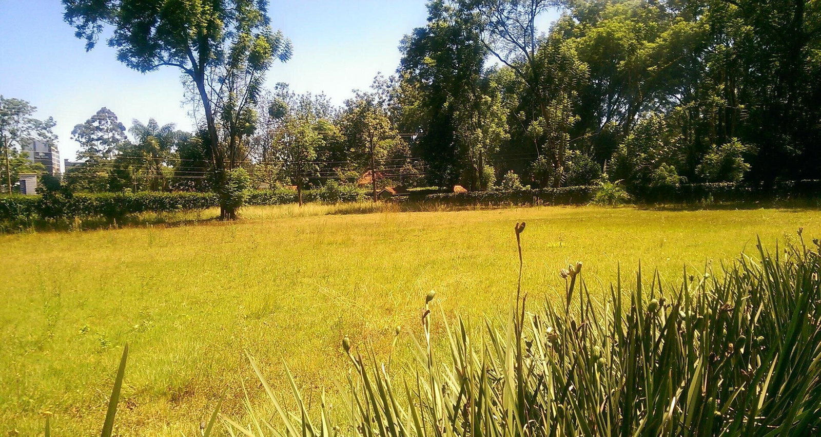 1/2 Acre Ridgeways Plot at KSh 60M