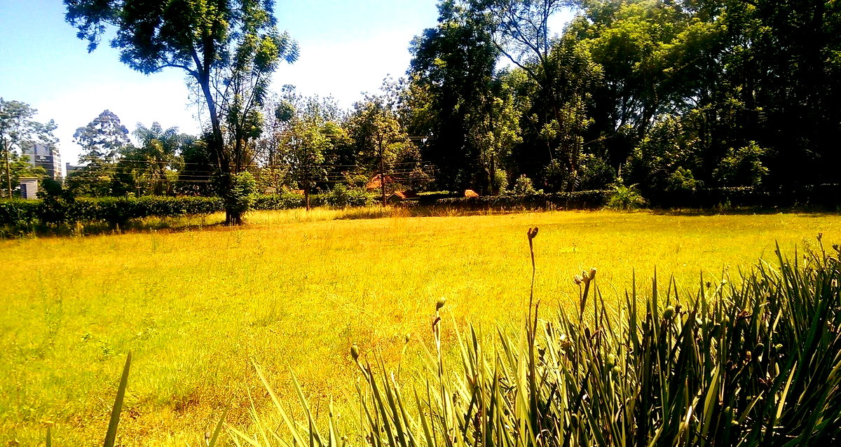 1/2 Acre Ridgeways Plot at KSh 60M