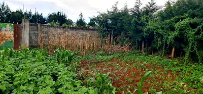 1bdrm House in Annex, Racecourse for sale - Image 10