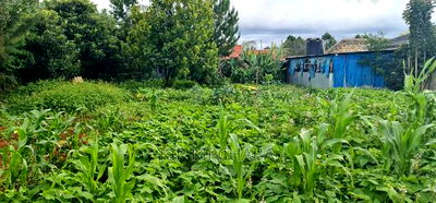 1bdrm House in Annex, Racecourse for sale - Image 2