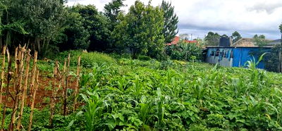 1bdrm House in Annex, Racecourse for sale - Image 3