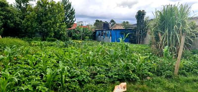 1bdrm House in Annex, Racecourse for sale - Image 4