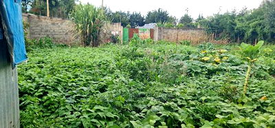 1bdrm House in Annex, Racecourse for sale - Image 9