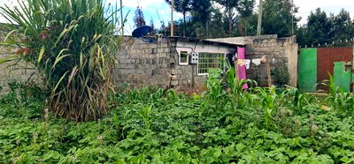 1bdrm House in Annex, Racecourse for sale - Image 13