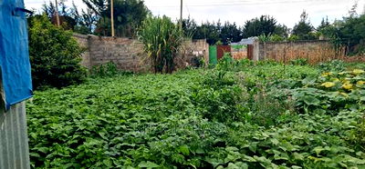 1bdrm House in Annex, Racecourse for sale - Image 8