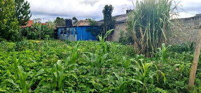 1bdrm House in Annex, Racecourse for sale - Image 1