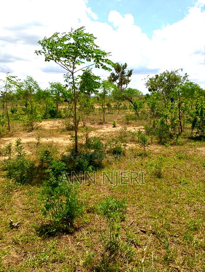 Malindi Prime Plots - Image 1