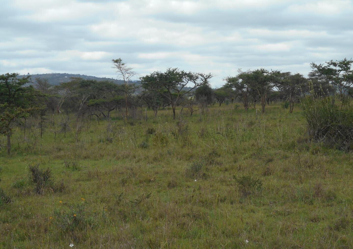 5-Acre Garden Land with Parking - KSh 12.5M