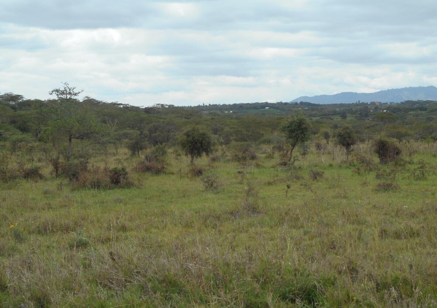 5-Acre Garden Land with Parking - KSh 12.5M