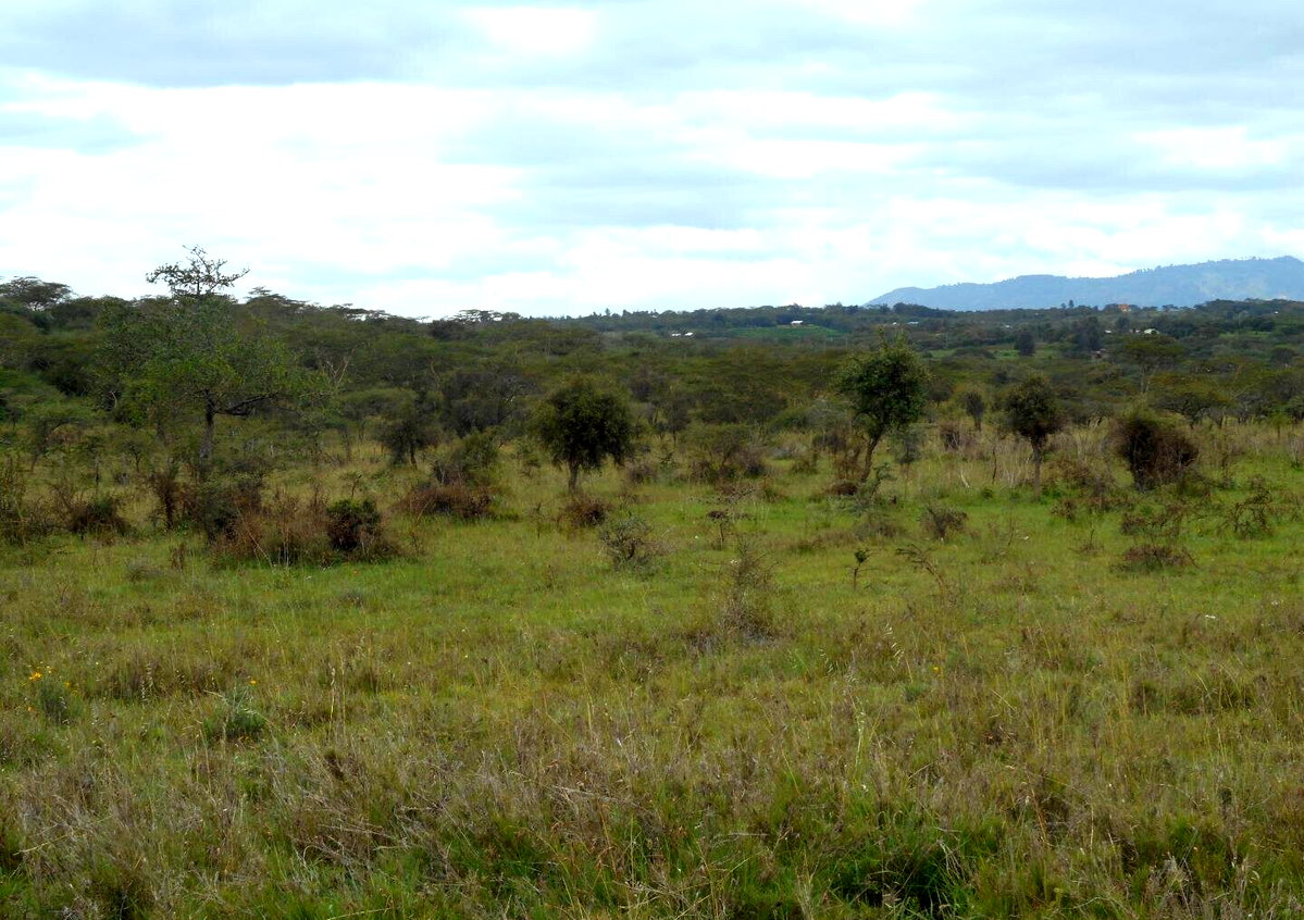 5-Acre Garden Land with Parking - KSh 12.5M
