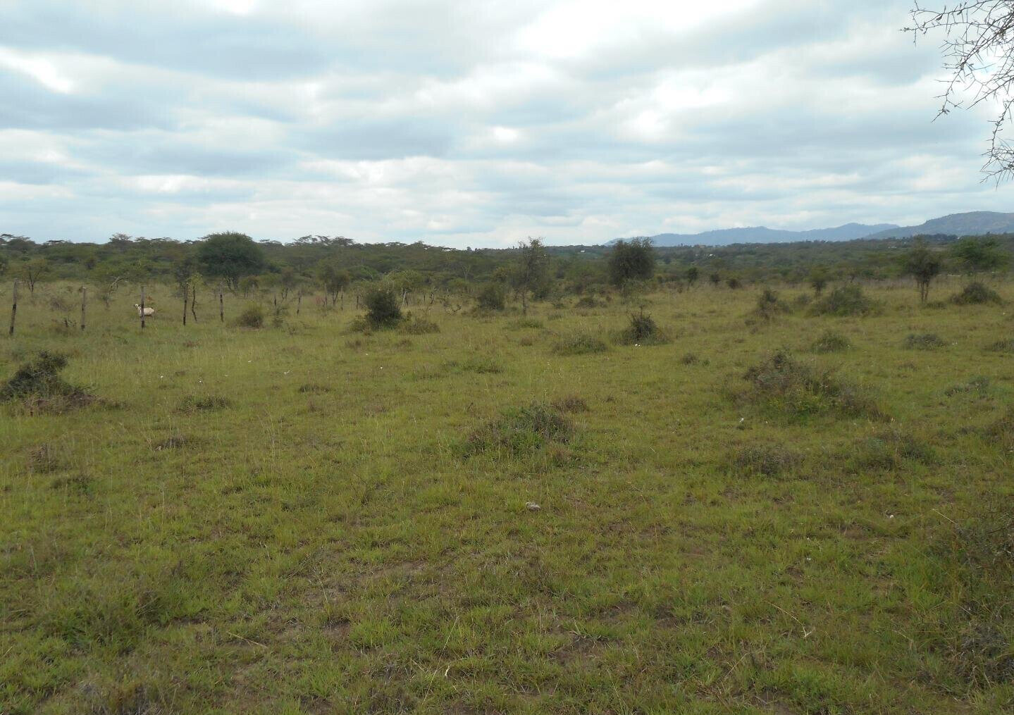 5-Acre Garden Land with Parking - KSh 12.5M