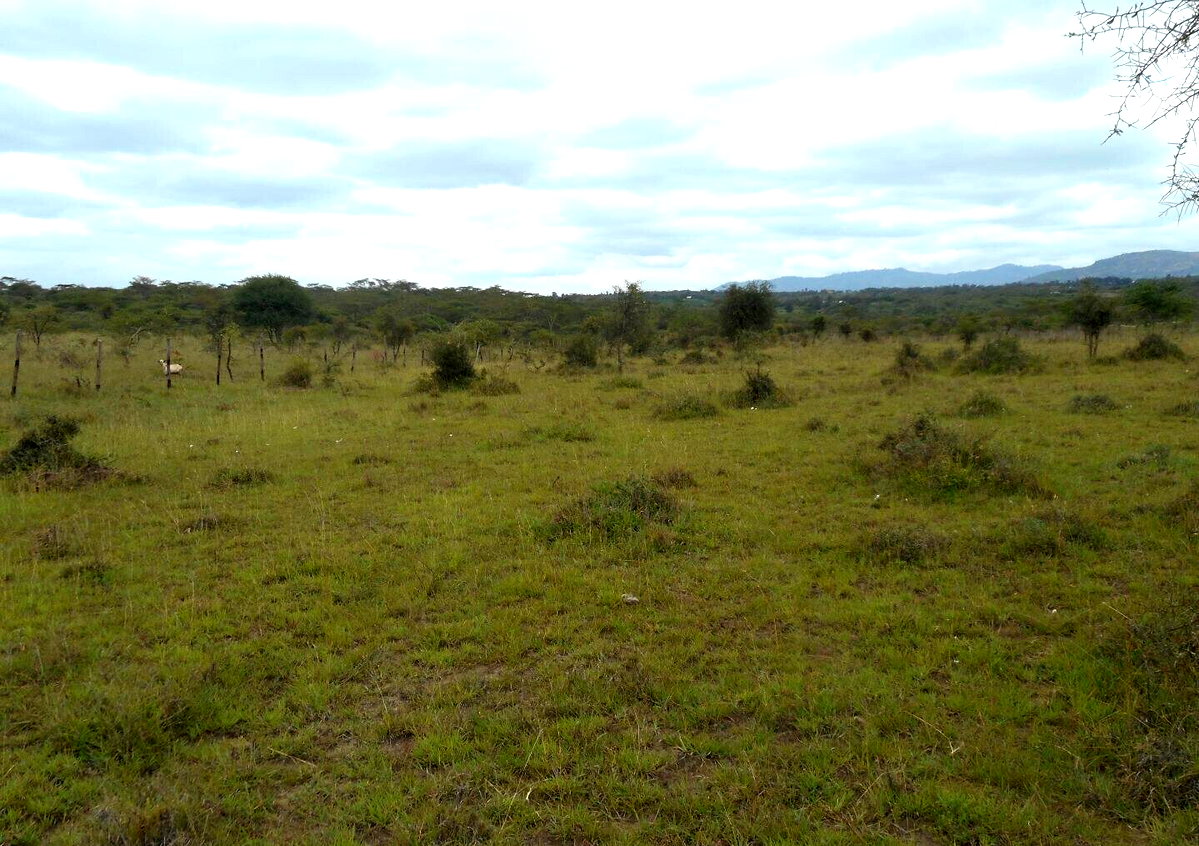 5-Acre Garden Land with Parking - KSh 12.5M