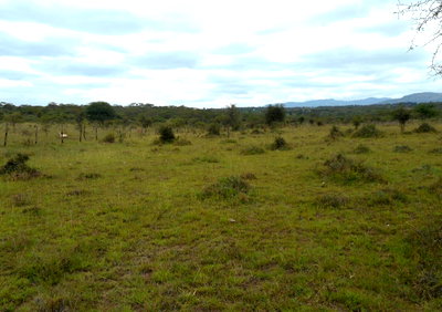 5-Acre Garden Land with Parking - KSh 12.5M