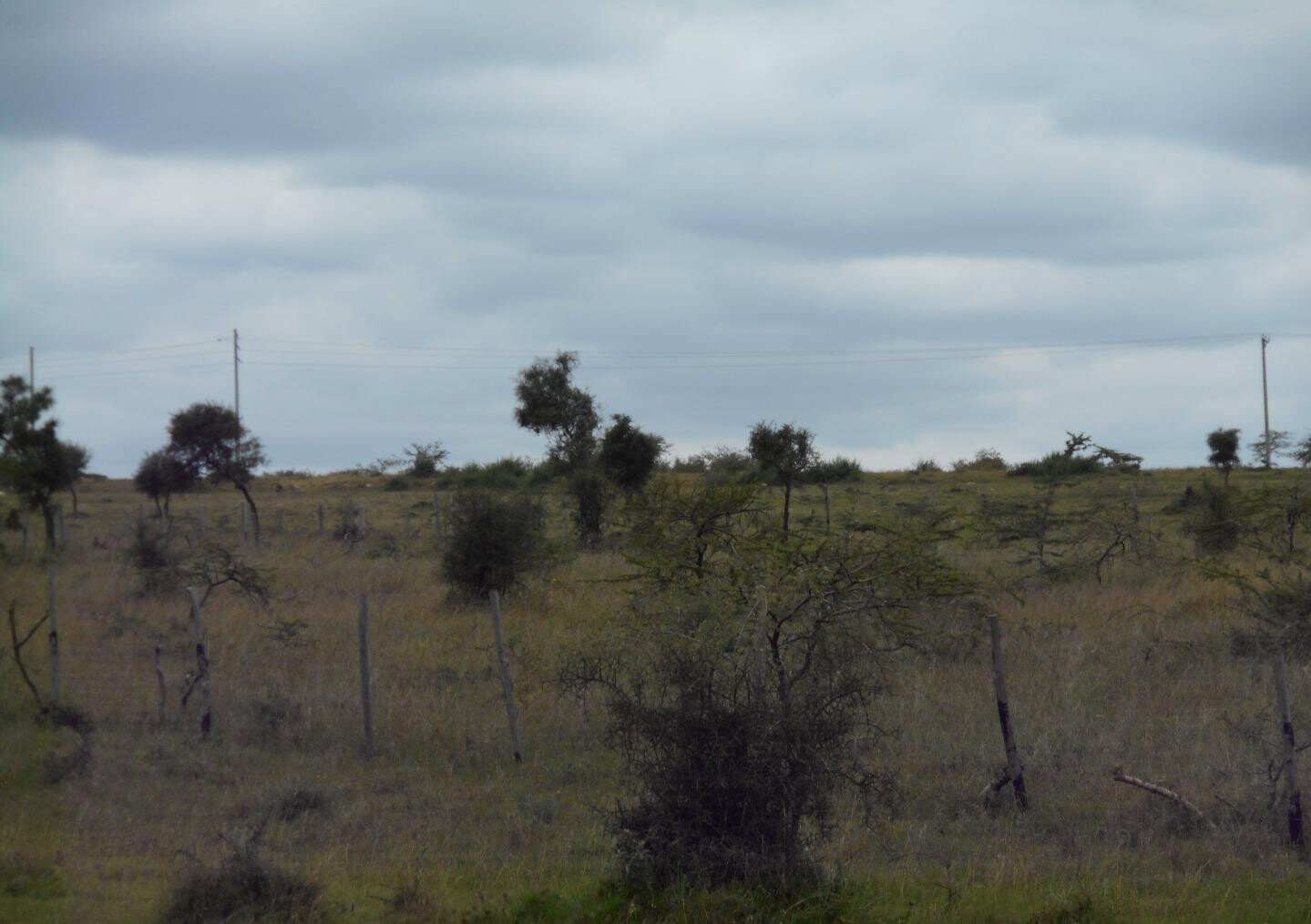 5-Acre Garden Land with Parking - KSh 12.5M