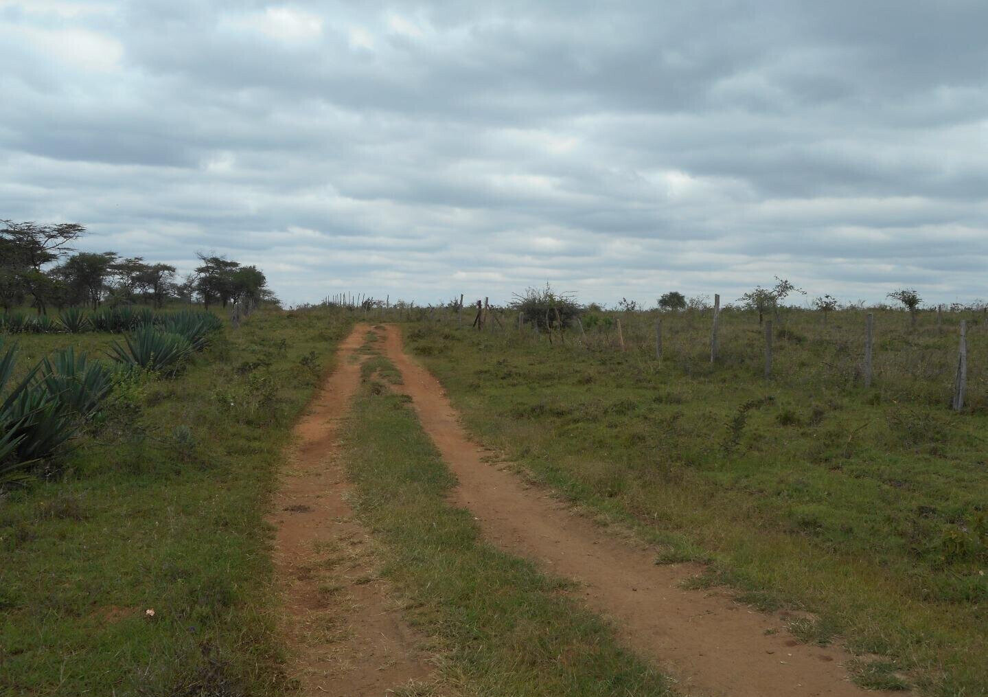 5-Acre Garden Land with Parking - KSh 12.5M