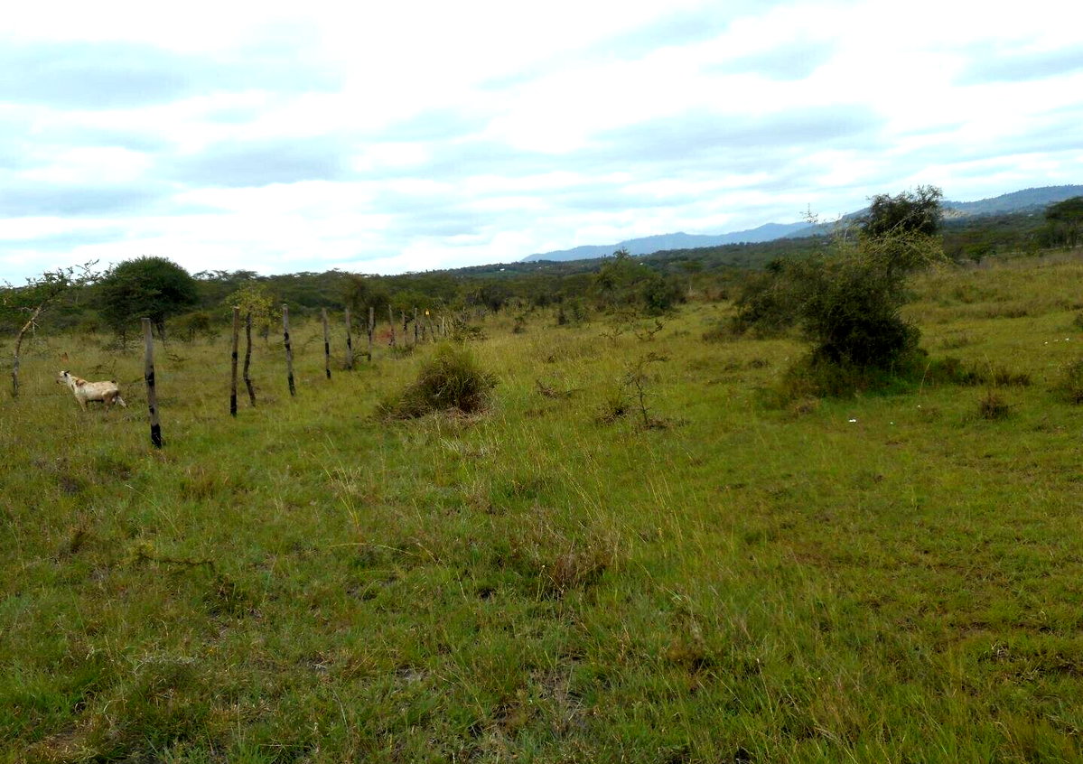 5-Acre Garden Land with Parking - KSh 12.5M