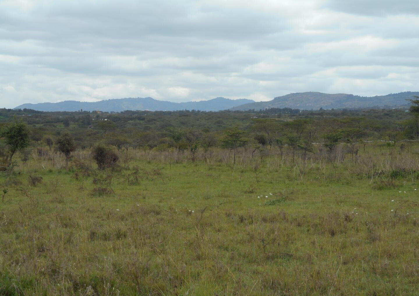 5-Acre Garden Land with Parking - KSh 12.5M