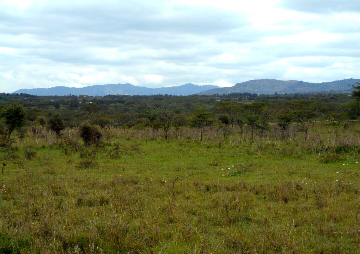 5-Acre Garden Land with Parking - KSh 12.5M