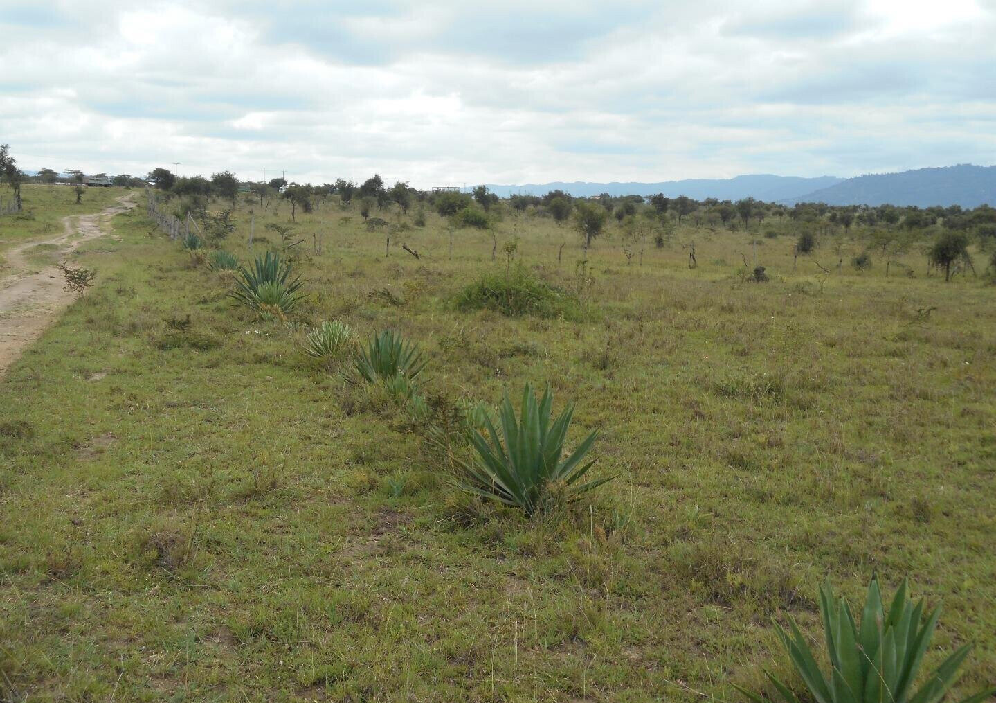 5-Acre Garden Land with Parking - KSh 12.5M