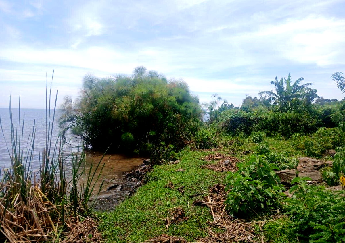 8.5-Acre Beach Plot in Kisumu West