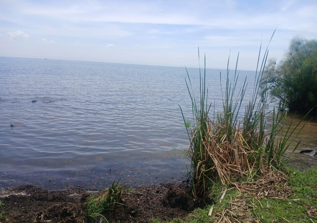 8.5-Acre Beach Plot in Kisumu West