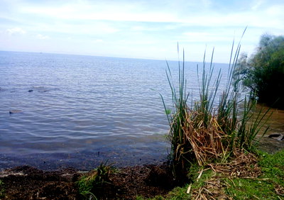 8.5-Acre Beach Plot in Kisumu West