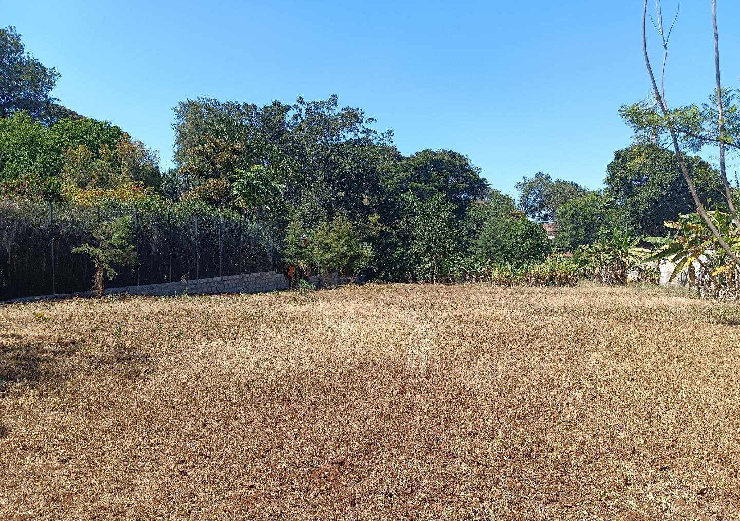 Pet Friendly 0.75 Acre Plot at KSh 125M