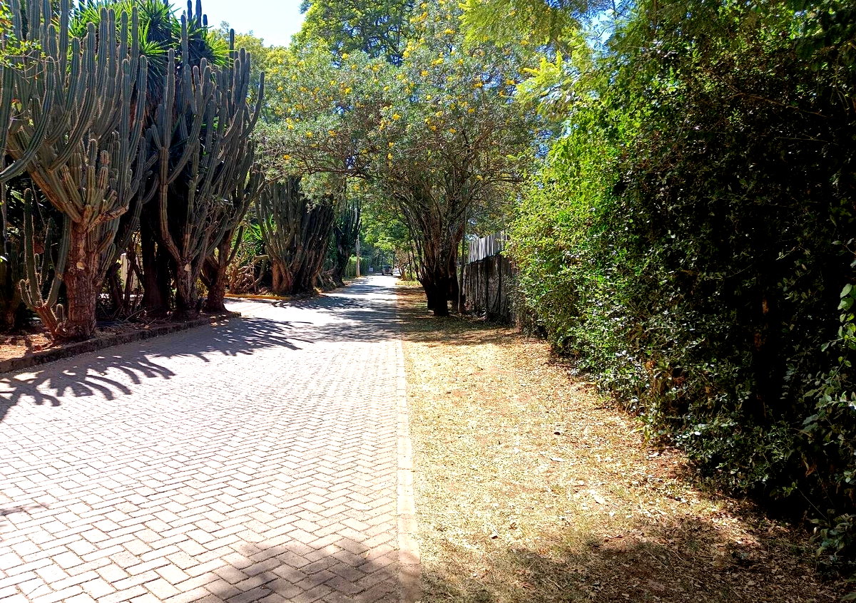 Pet Friendly 0.75 Acre Plot at KSh 125M