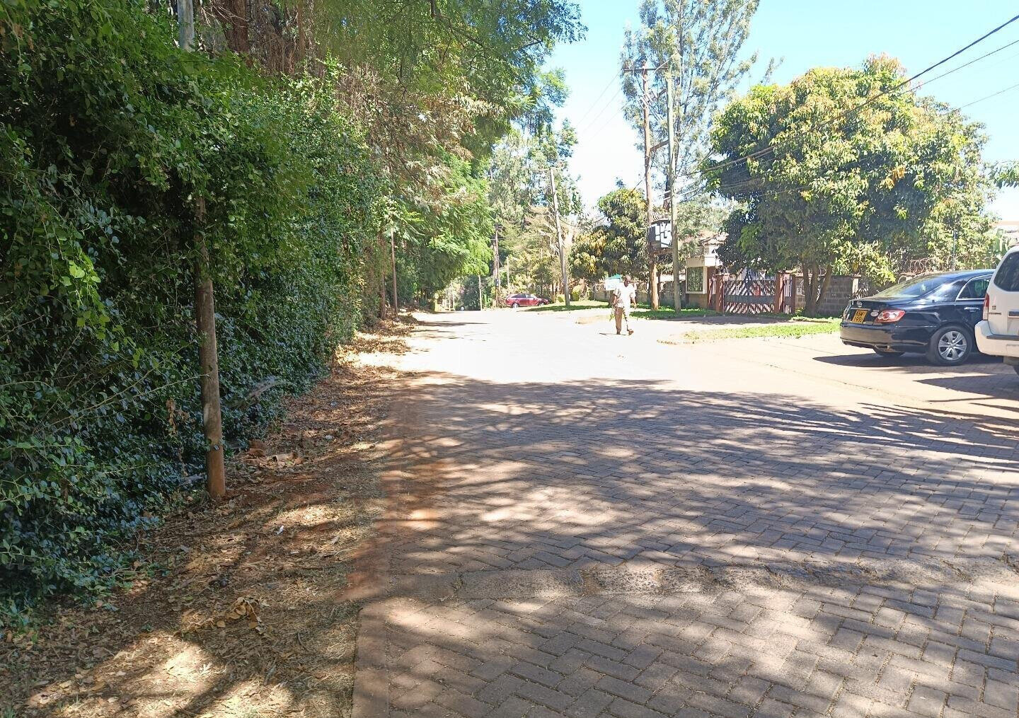 Pet Friendly 0.75 Acre Plot at KSh 125M