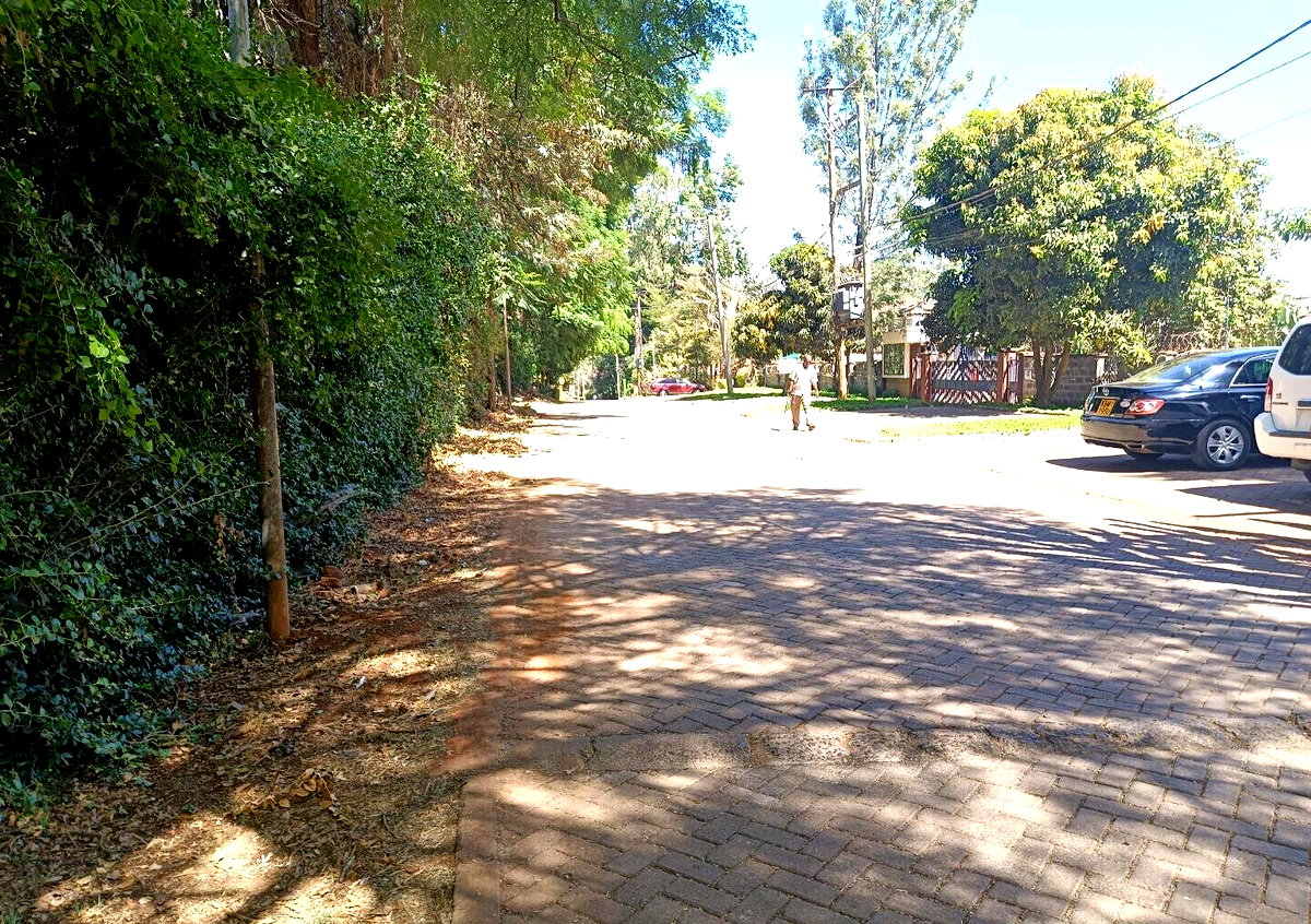 Pet Friendly 0.75 Acre Plot at KSh 125M
