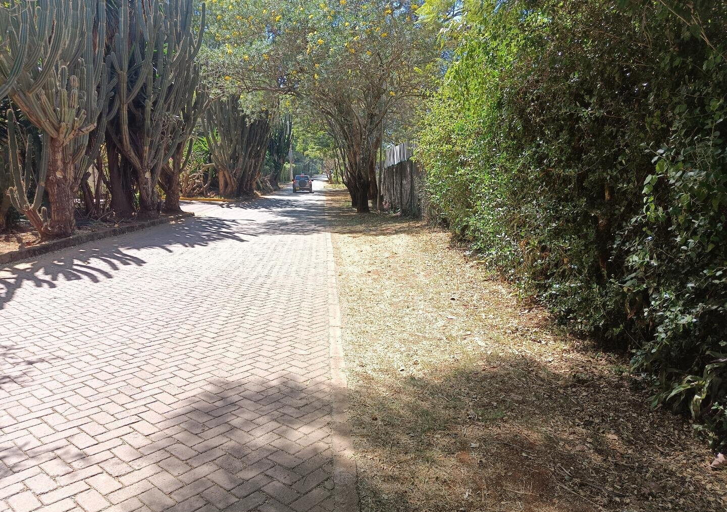 Pet Friendly 0.75 Acre Plot at KSh 125M