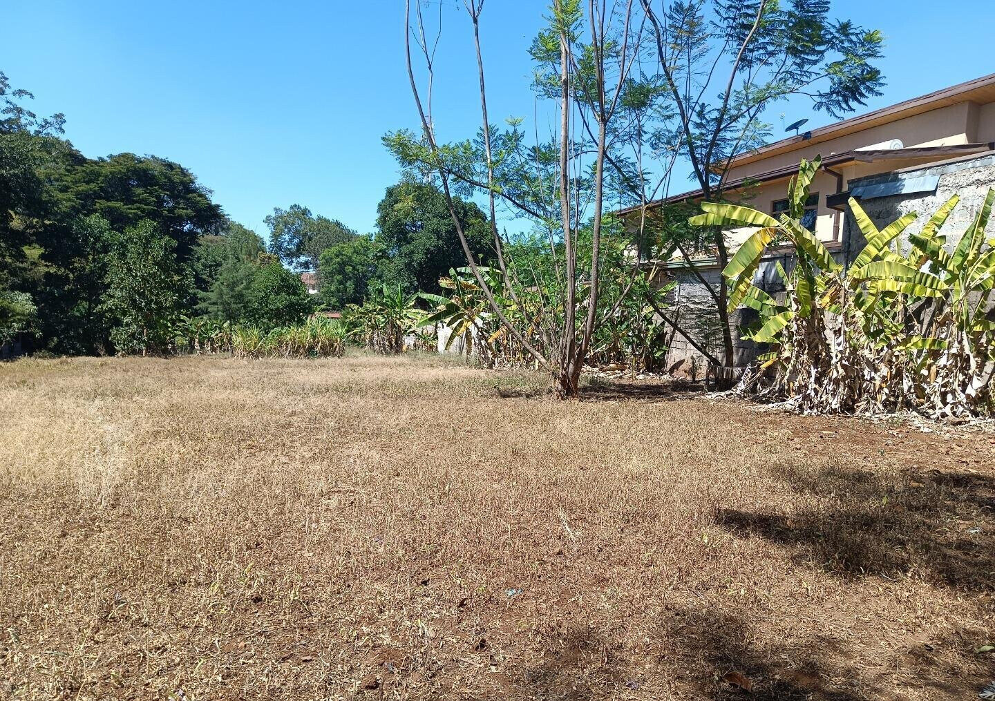 Pet Friendly 0.75 Acre Plot at KSh 125M