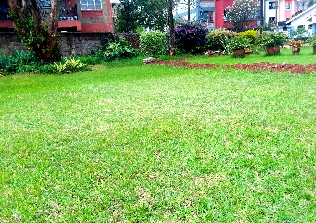 0.95 Acre Plot with Garden
