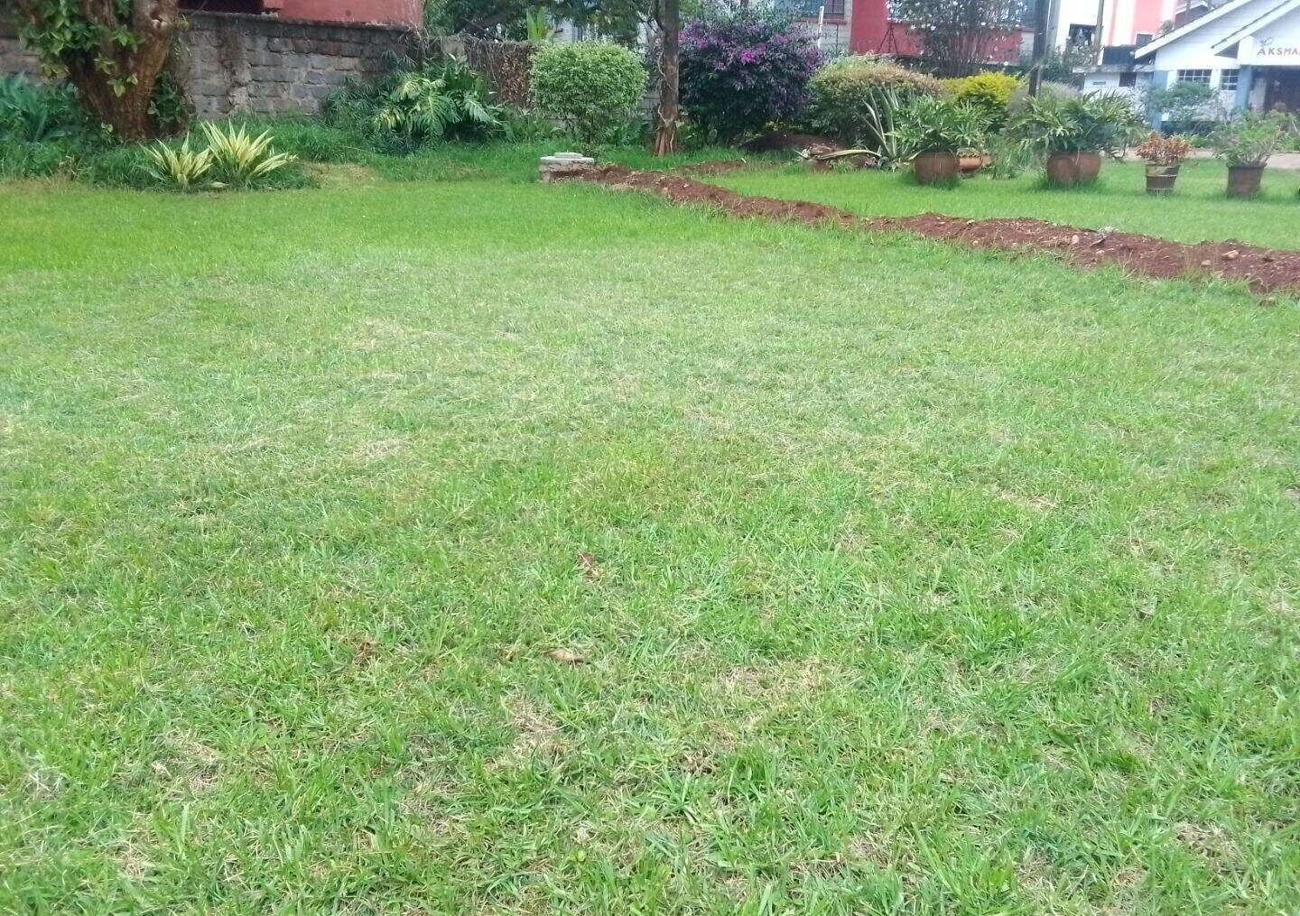 0.95 Acre Plot with Garden