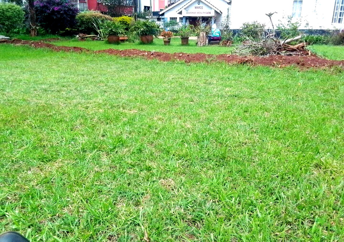 0.95 Acre Plot with Garden